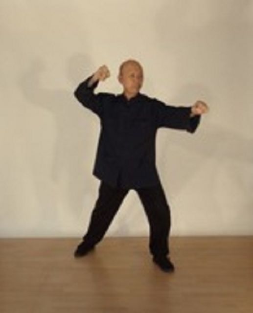 Yang-Stil Taijiquan mit 85 Folgen