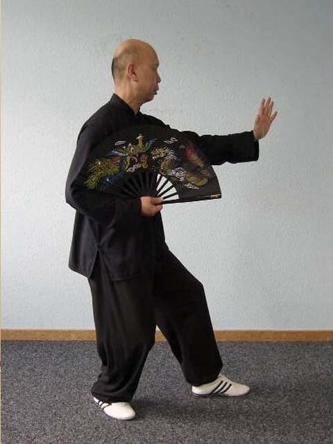 Lehrgang im traditionellen Yang-Stil Taijiquan TaijiShan (-Fächer) mit 42 Folgen 太极扇